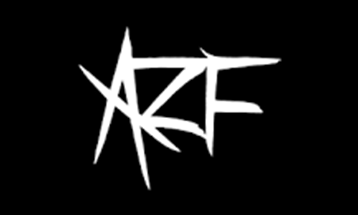 AZF punk -1 BRUIT KIKOUR ska punk –  LOUPS.BARRES punk festif – BLANK SOUND rock garage
