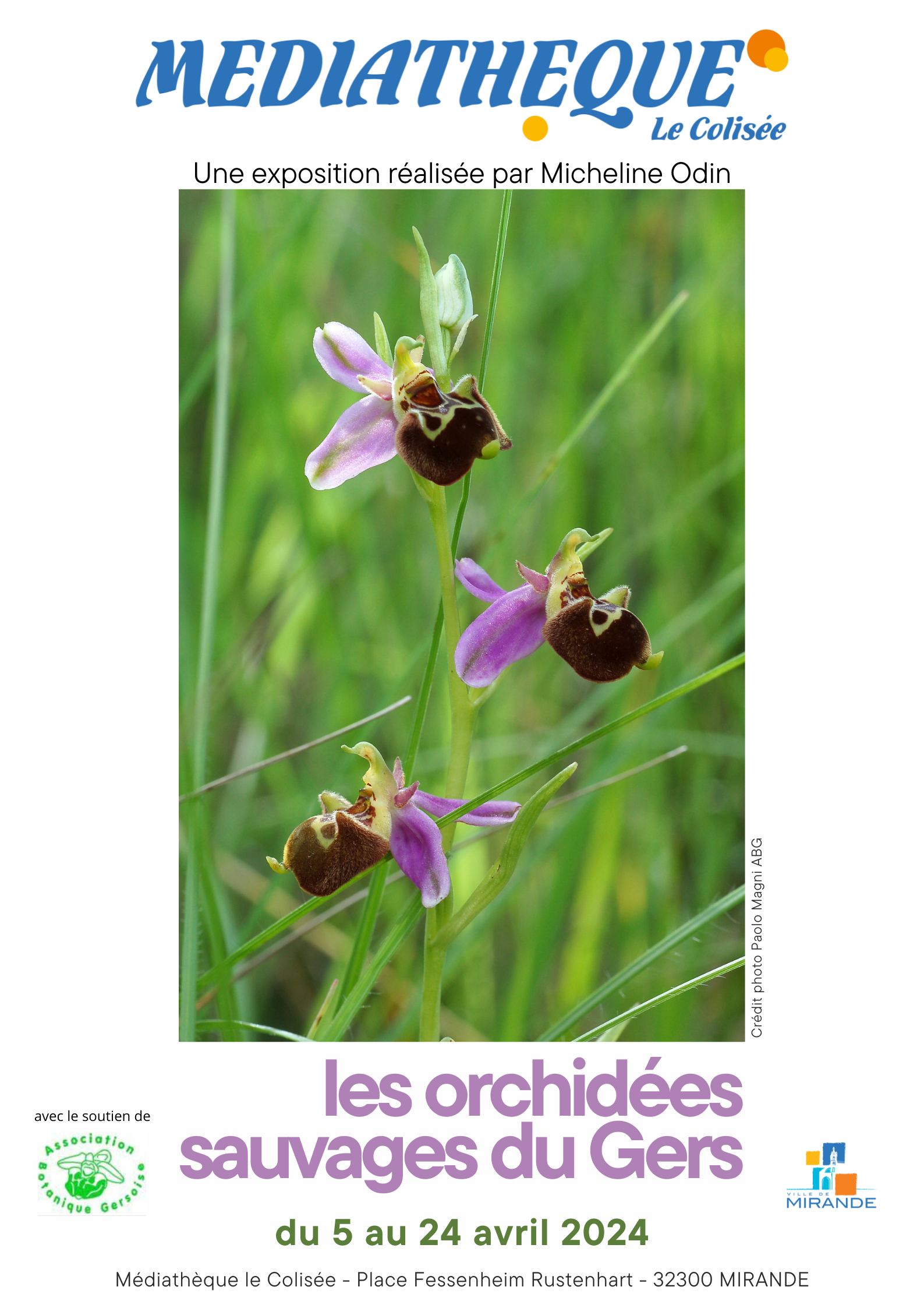 Exposition sur les orchidées du Gers