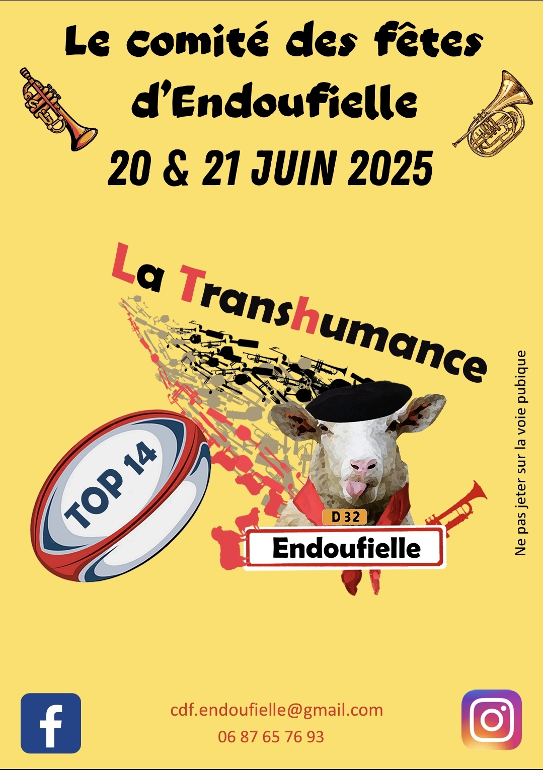 Fête du village/Transhumance
