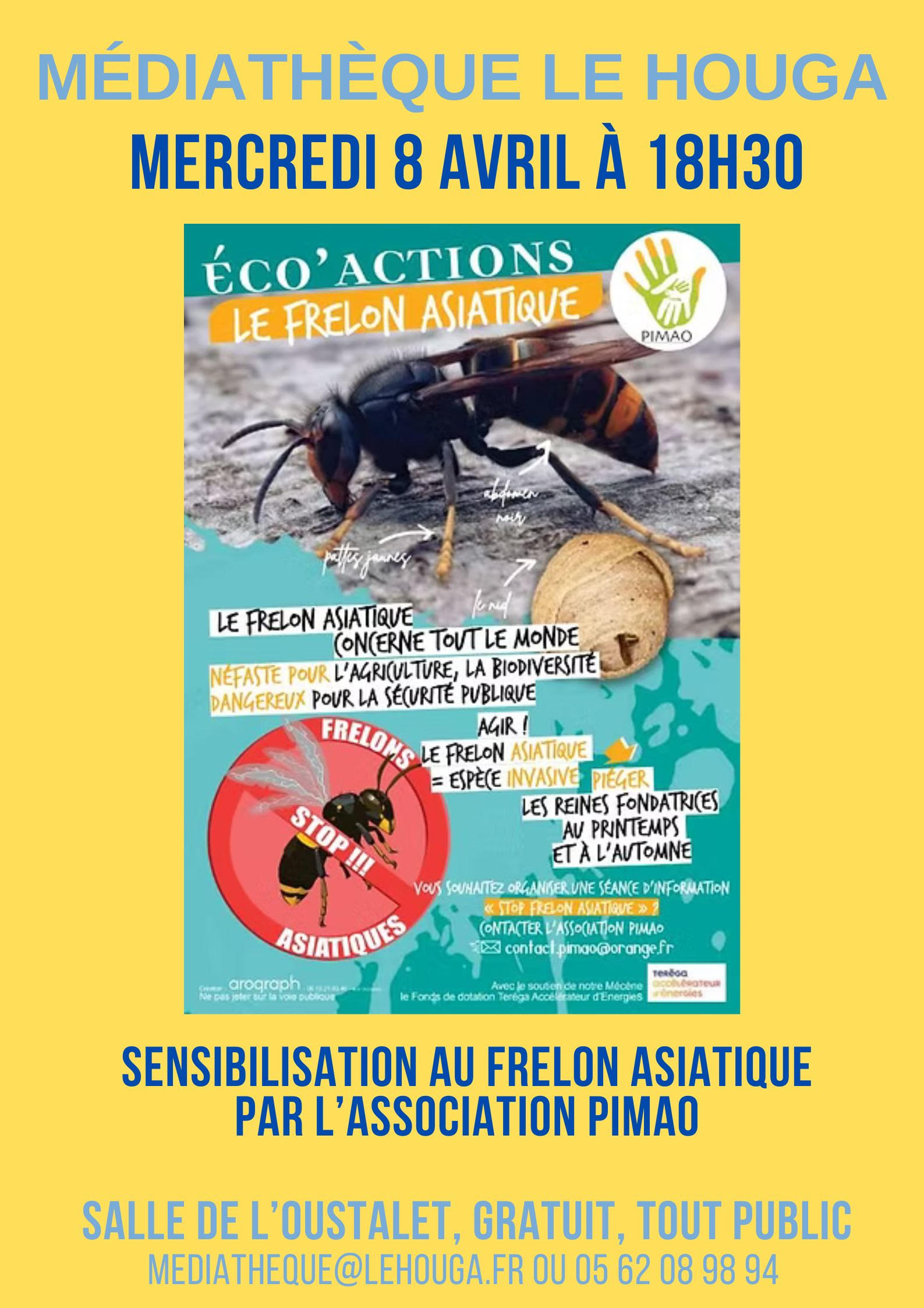 Le frelon asiatique, avec PIMAO + grainothèque