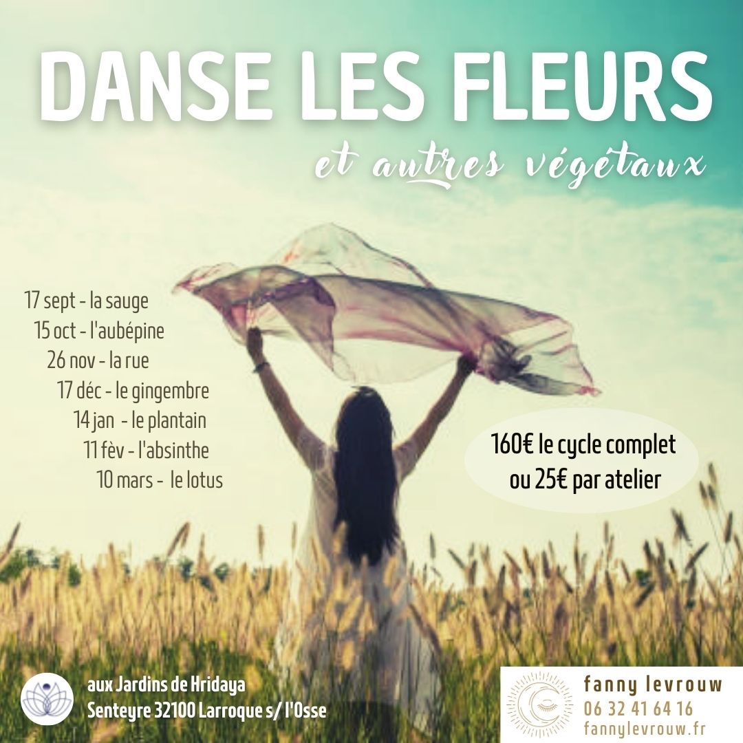 Danse avec les fleurs (et autres végétaux) – La sauge