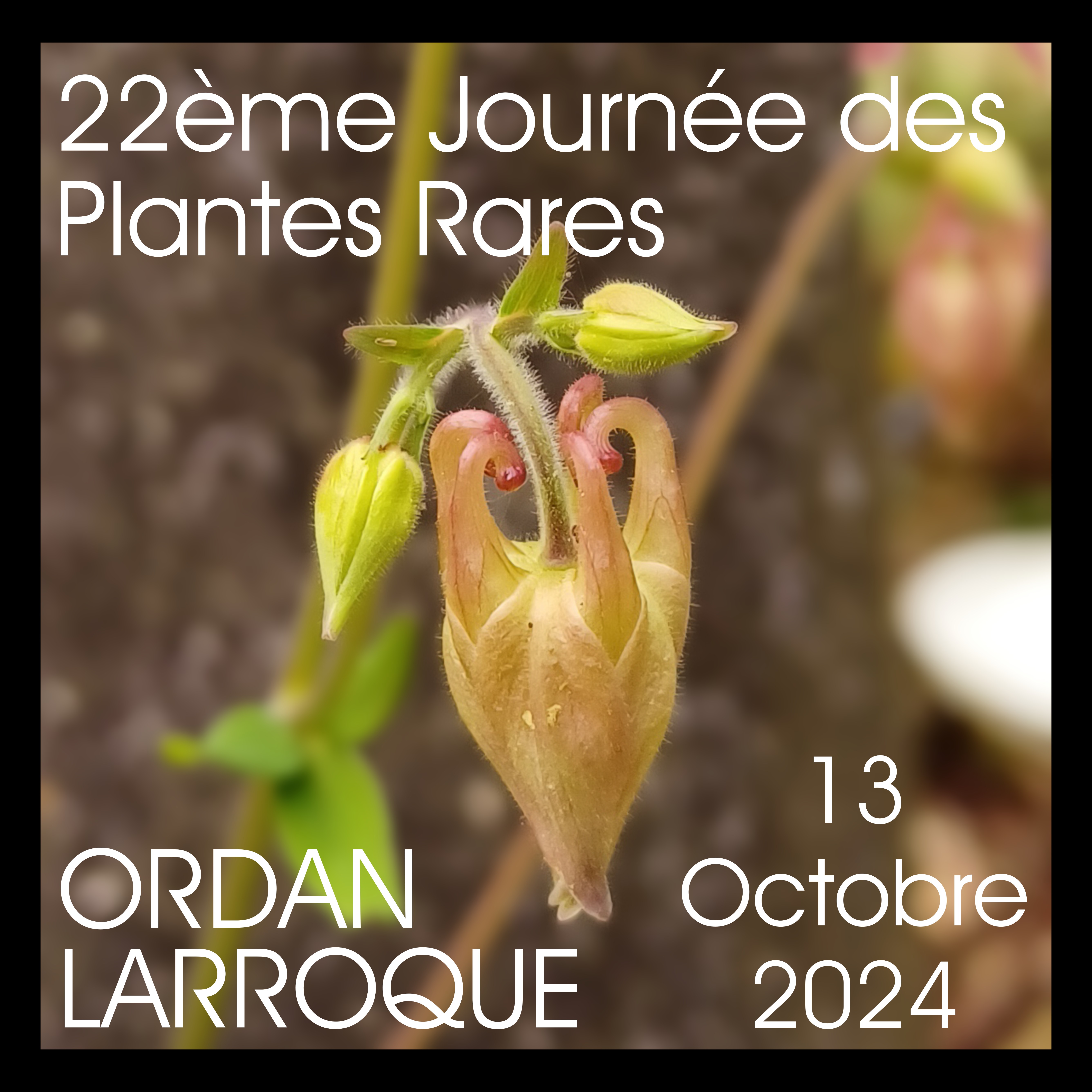 22ème Journée des Plantes Rares