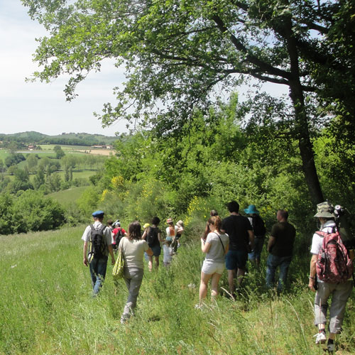 Sorties nature – Trame verte – quand la nature se connecte