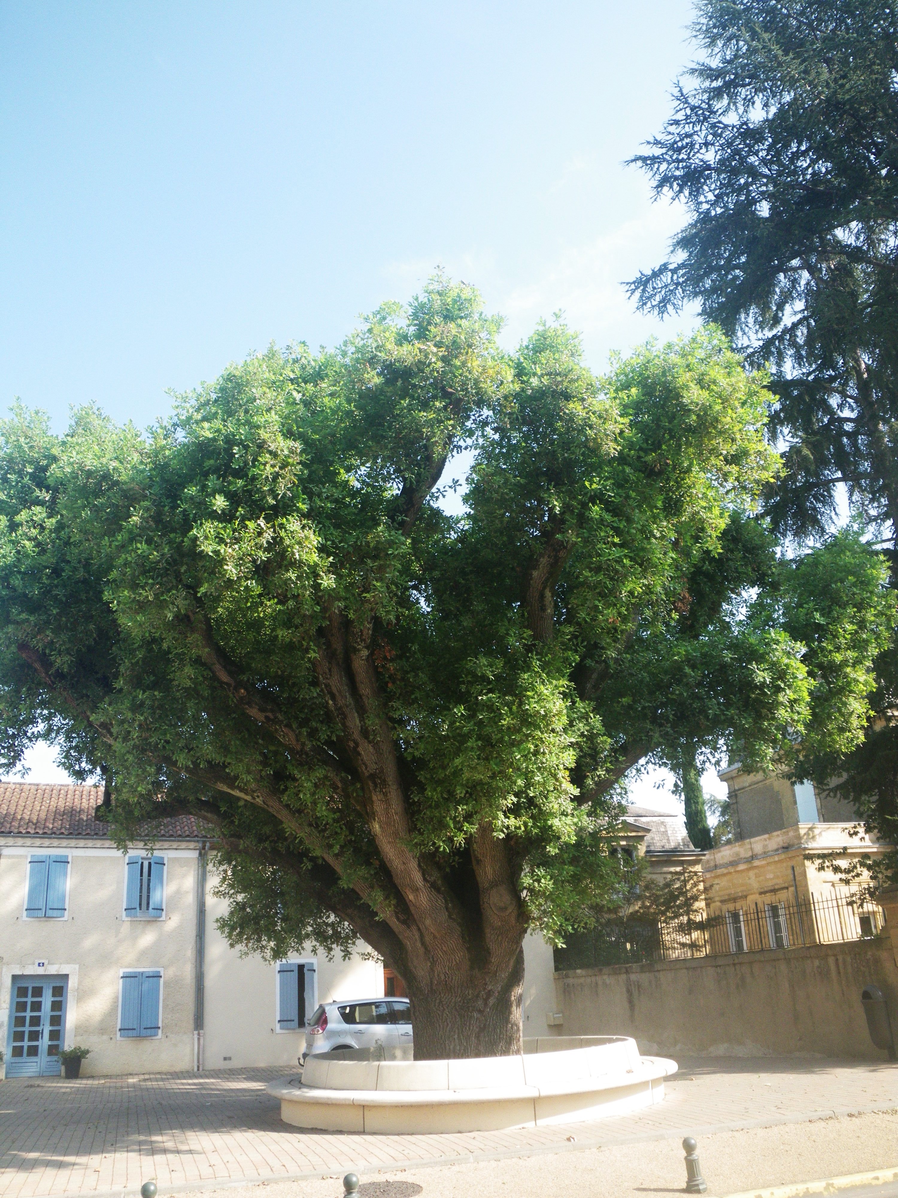 [Sortie en famille] Se balader en s’amusant !