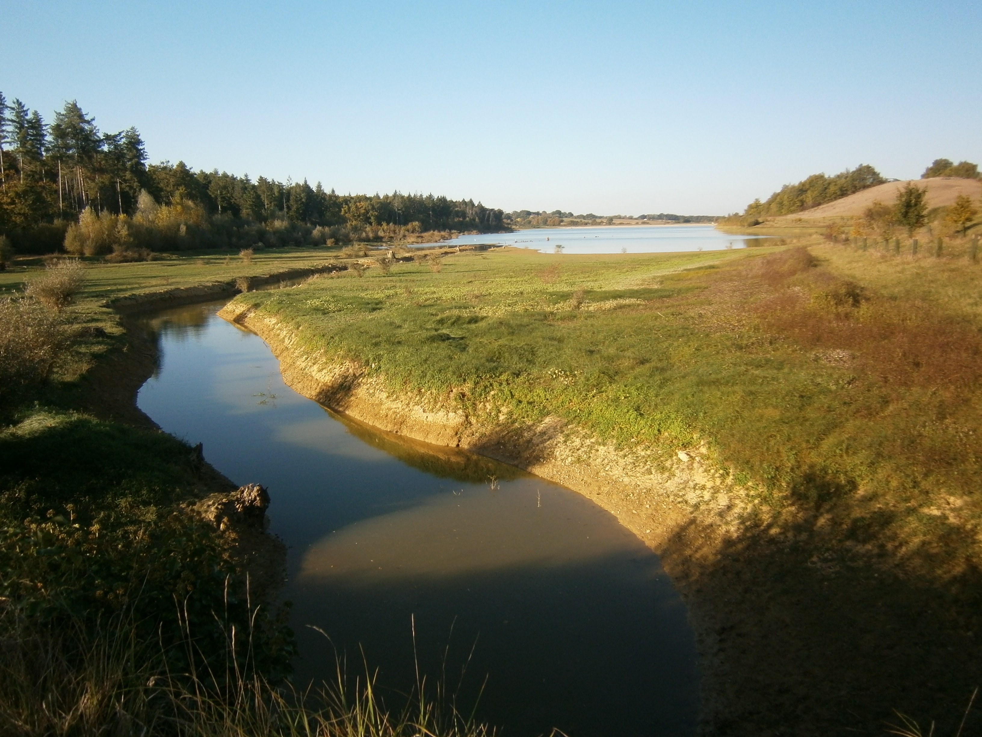 [Sortie nature] Entre eau et forêt