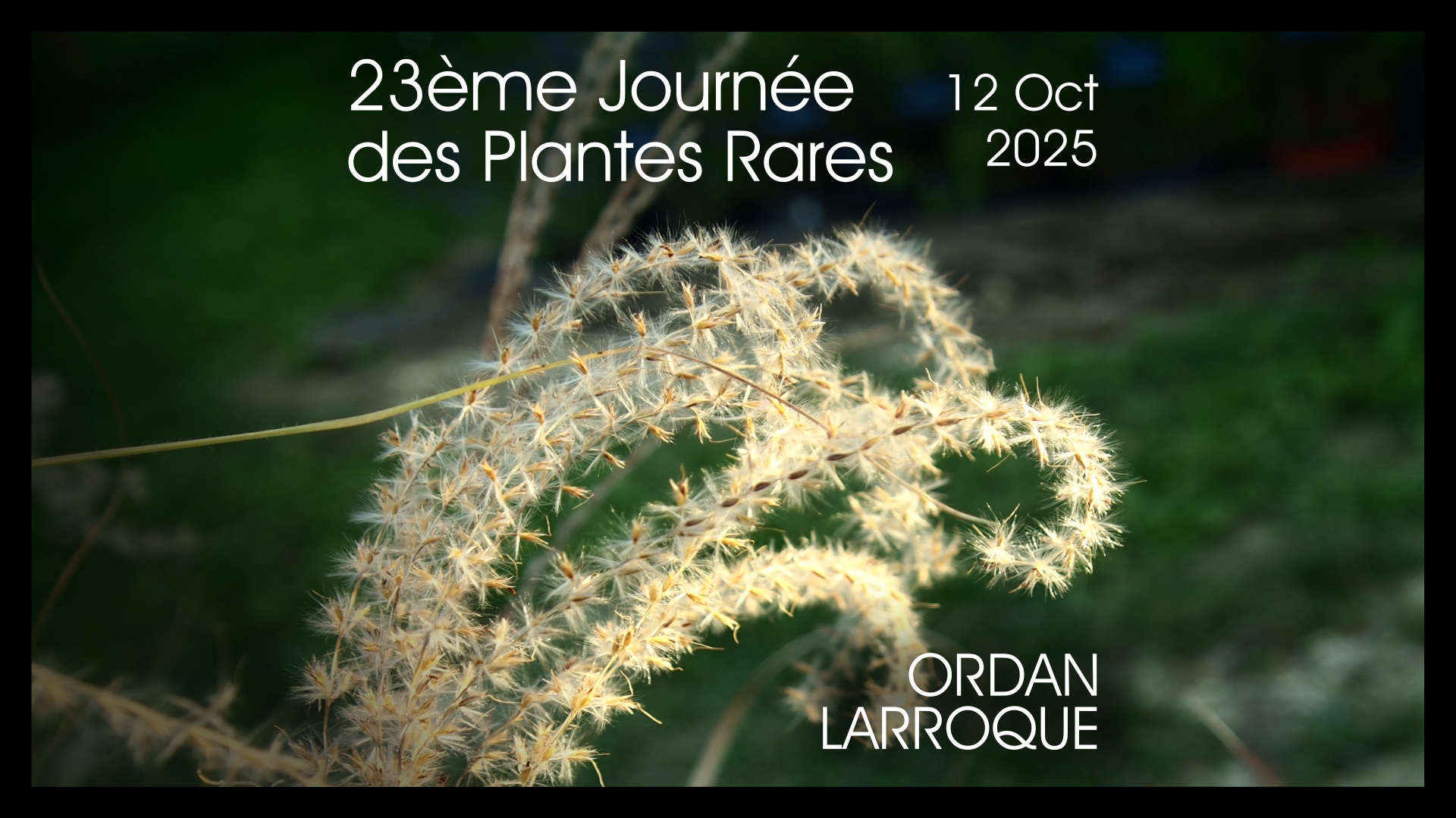 23ème Journée des Plantes Rares