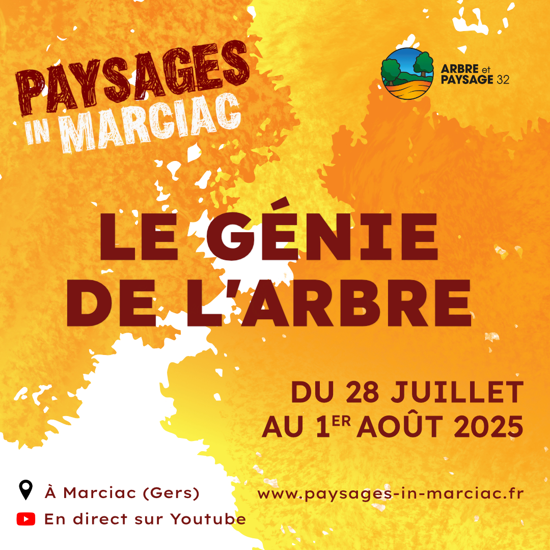 Paysages In Marciac