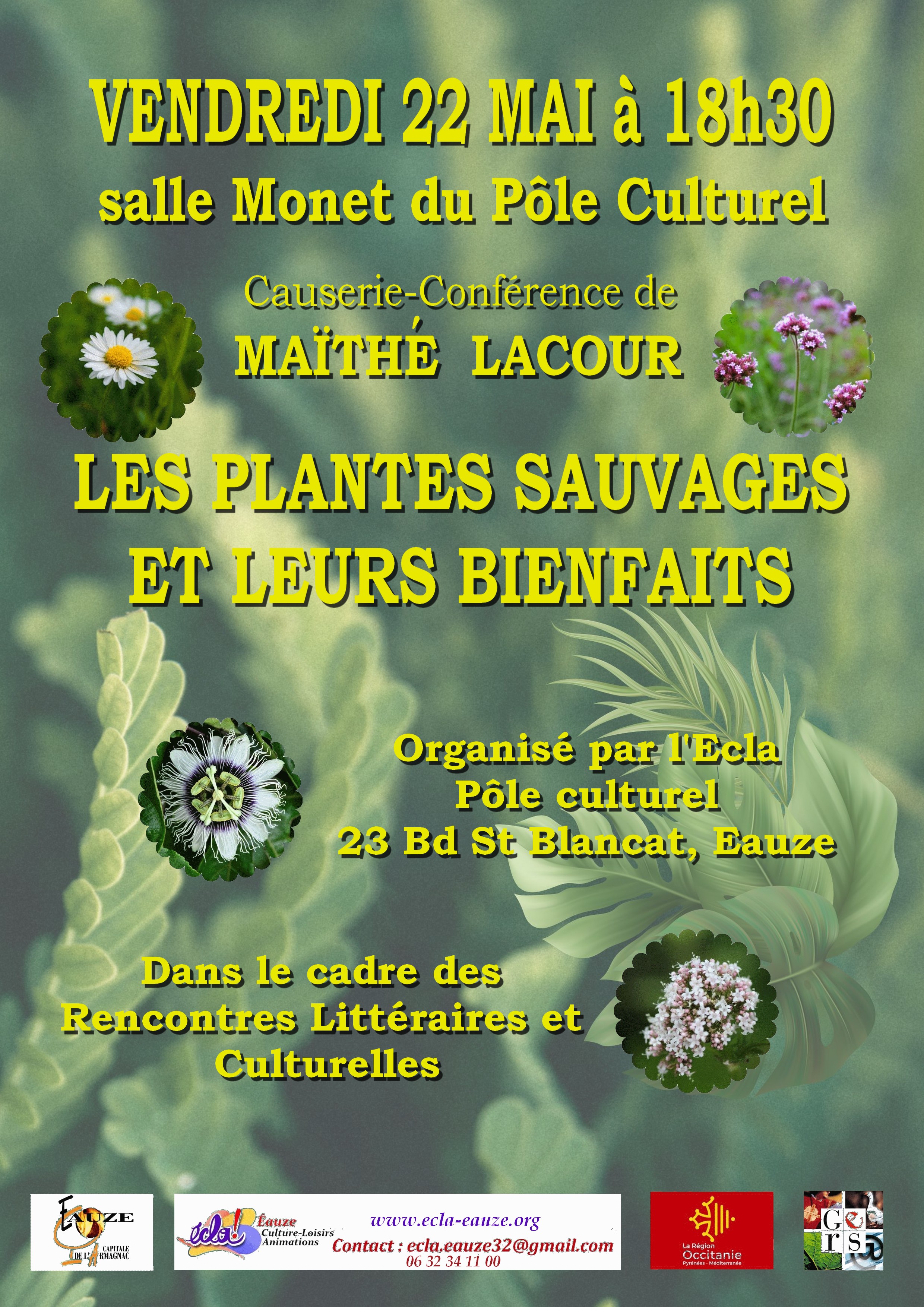 CAUSERIE : LES PLANTES SAUVAGES ET LEURS BIENFAITS